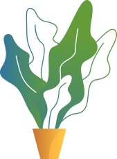 Demo Software (Startup)